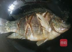 红烧罗非鱼的做法图解3