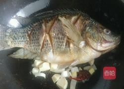 红烧罗非鱼的做法图解4