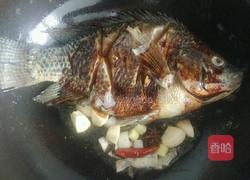 红烧罗非鱼的做法图解5