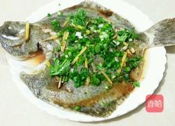 葱油多宝鱼的做法图解9