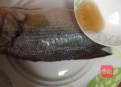 粤式清蒸鱼的做法图解4