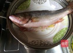 粤式清蒸鱼的做法图解9