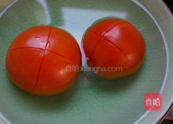 番茄披萨的做法图解7