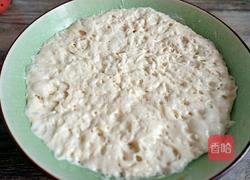 番茄披萨的做法图解14