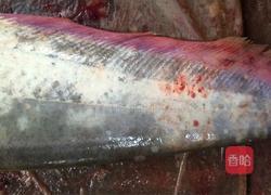 完美家常红烧鱼的做法图解1