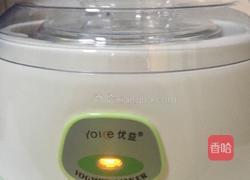 川秀自制酸奶的做法图解5