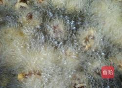 炸香菇的做法图解4