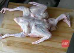 药膳鸽子汤的做法图解2