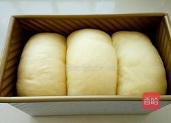 牛奶吐司的做法图解12