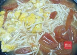 西红柿鸡蛋汤面的做法图解10