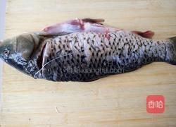 家常糖醋鱼的做法图解1