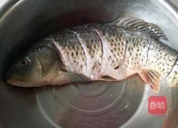 家常糖醋鱼的做法图解3