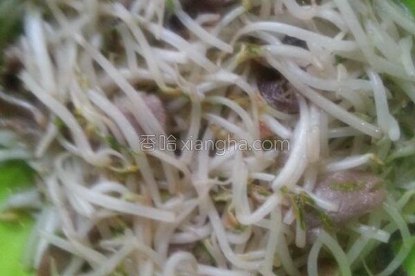 炒豆芽