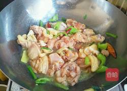 土豆炖鸡块的做法图解6