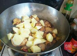土豆炖鸡块的做法图解9