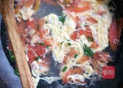 番茄鸡蛋烩煎饼的做法图解11