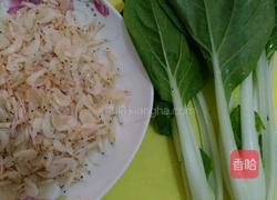 清炒虾皮小白菜的做法图解1