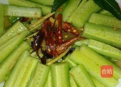 酸辣腌黄瓜的做法图解6