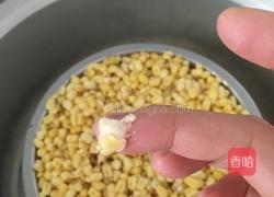 绿豆凉糕的做法图解7