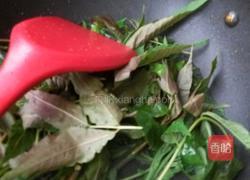 凉拌香椿芽的做法图解7
