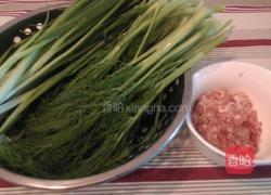 茴香饺子的做法图解1