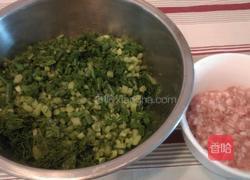 茴香饺子的做法图解3