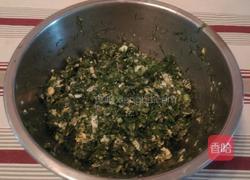 茴香饺子的做法图解5