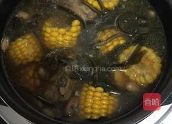 猪蹄玉米美容汤的做法图解6