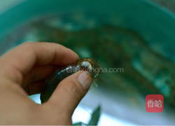 家常油爆虾的做法图解2