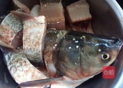 家常烧鲢鱼的做法图解1