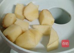 苹果果汁的做法图解4