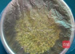 自制绿豆芽的做法图解4