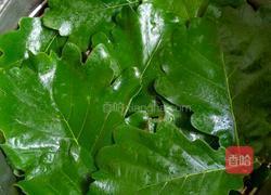 自制绿豆芽的做法图解6