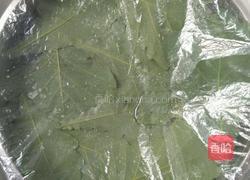 自制绿豆芽的做法图解8