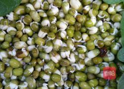 自制绿豆芽的做法图解9