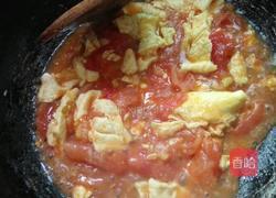 番茄炒蛋的做法图解7