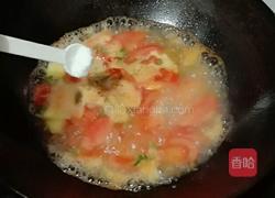 番茄焖鲈鱼的做法图解6