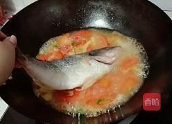 番茄焖鲈鱼的做法图解7