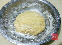 DIY麻花的做法图解9