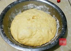 DIY麻花的做法图解10