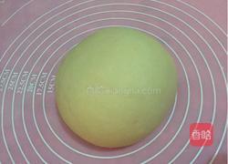 包饺子的做法图解4