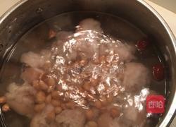 木瓜花生猪蹄汤的做法图解5