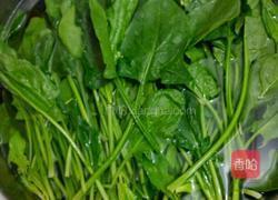 蒜蓉炒菠菜的做法图解2