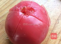 西红柿炒茄子的做法图解3