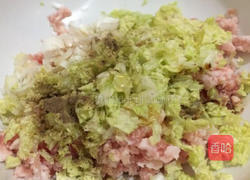 家常包子的做法图解2