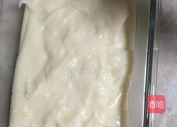 椰子冻的做法图解6