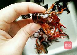 油焖小龙虾的做法图解1