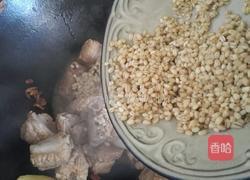 排骨炖冬瓜的做法图解15