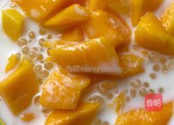 金芒鲜奶西米露的做法图解12