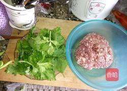 水煎烧麦的做法图解1